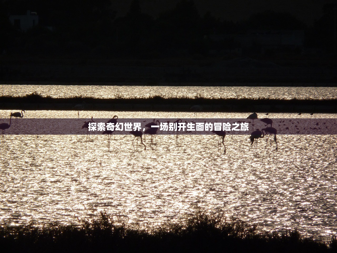 探索奇幻世界，一场别开生面的冒险之旅