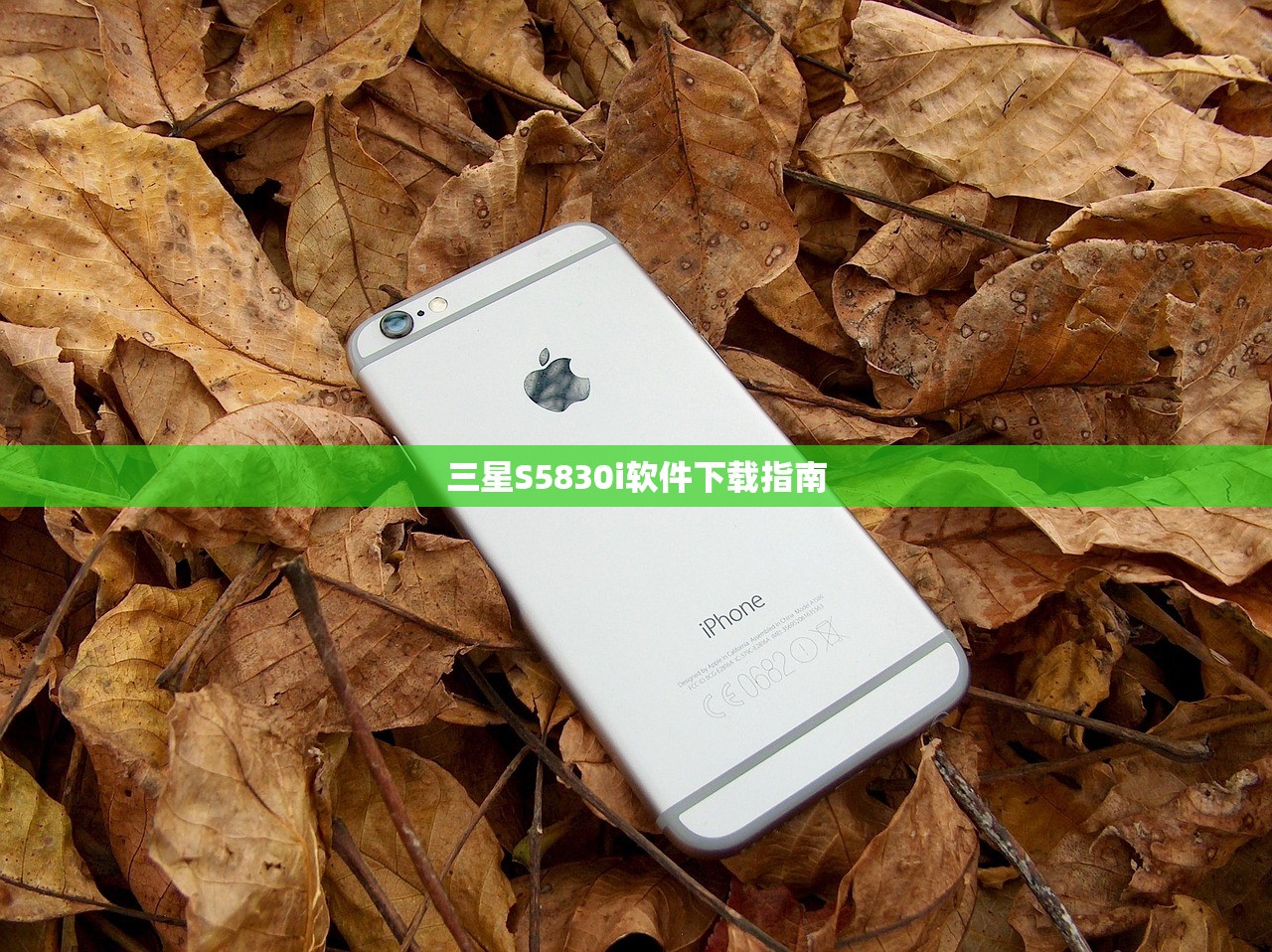 三星S5830i软件下载指南