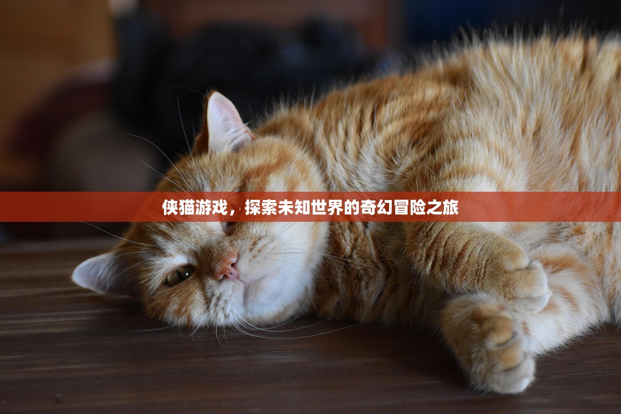 侠猫游戏，探索未知世界的奇幻冒险之旅