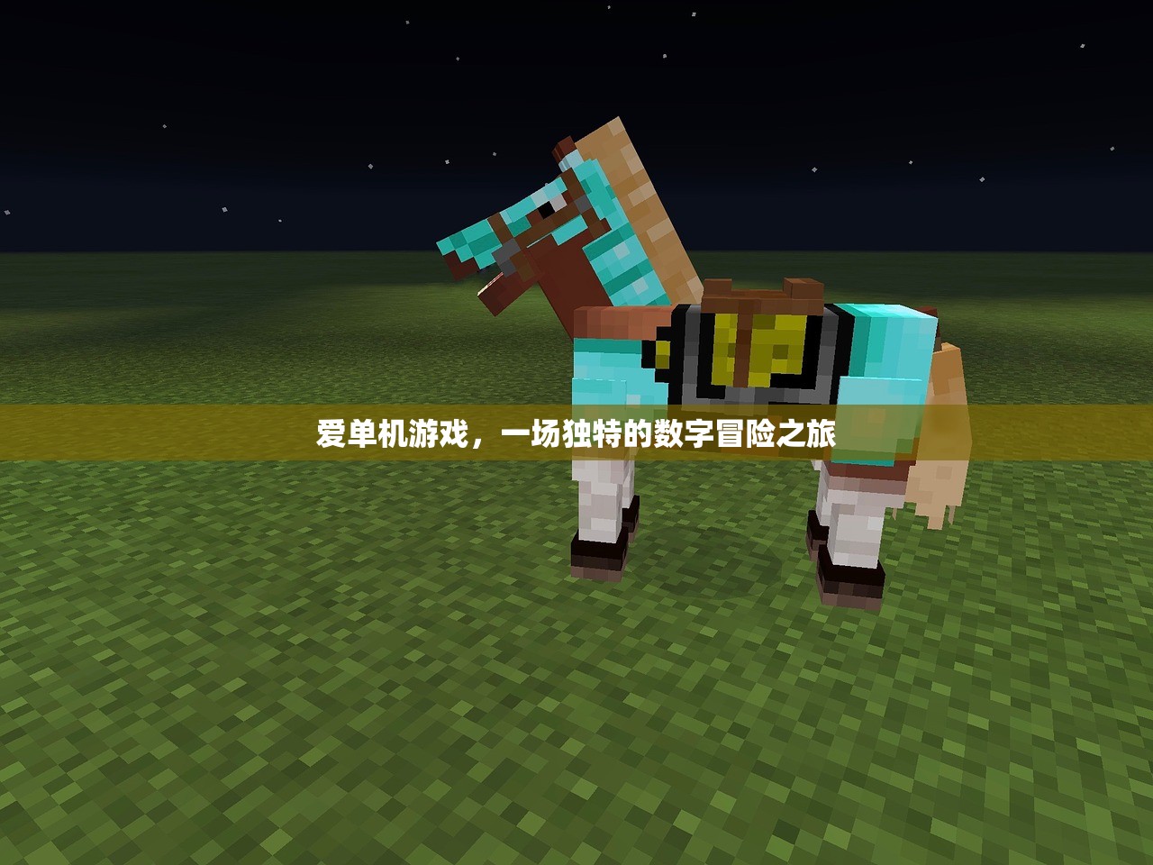 爱单机游戏，一场独特的数字冒险之旅