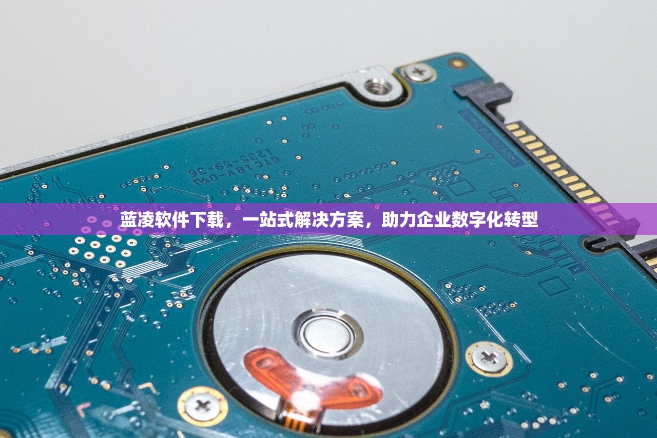 蓝凌软件下载，一站式解决方案，助力企业数字化转型