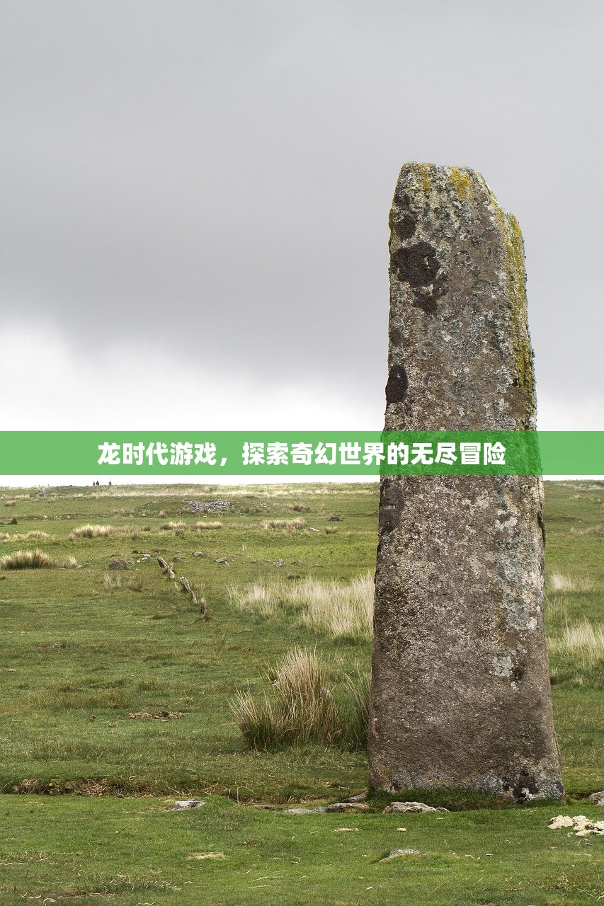 龙时代游戏，探索奇幻世界的无尽冒险