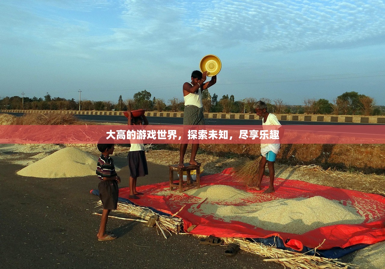 大高的游戏世界，探索未知，尽享乐趣