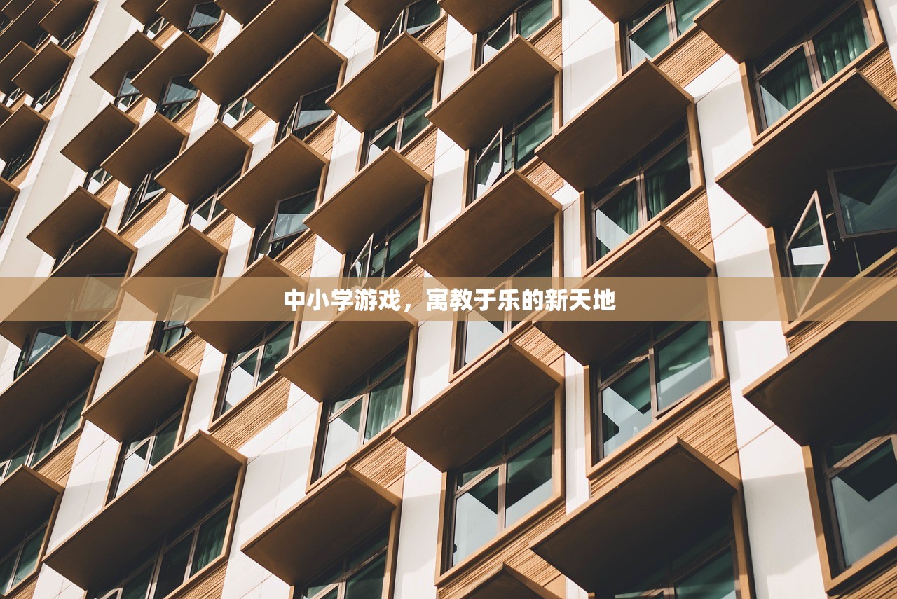 中小学游戏，寓教于乐的新天地