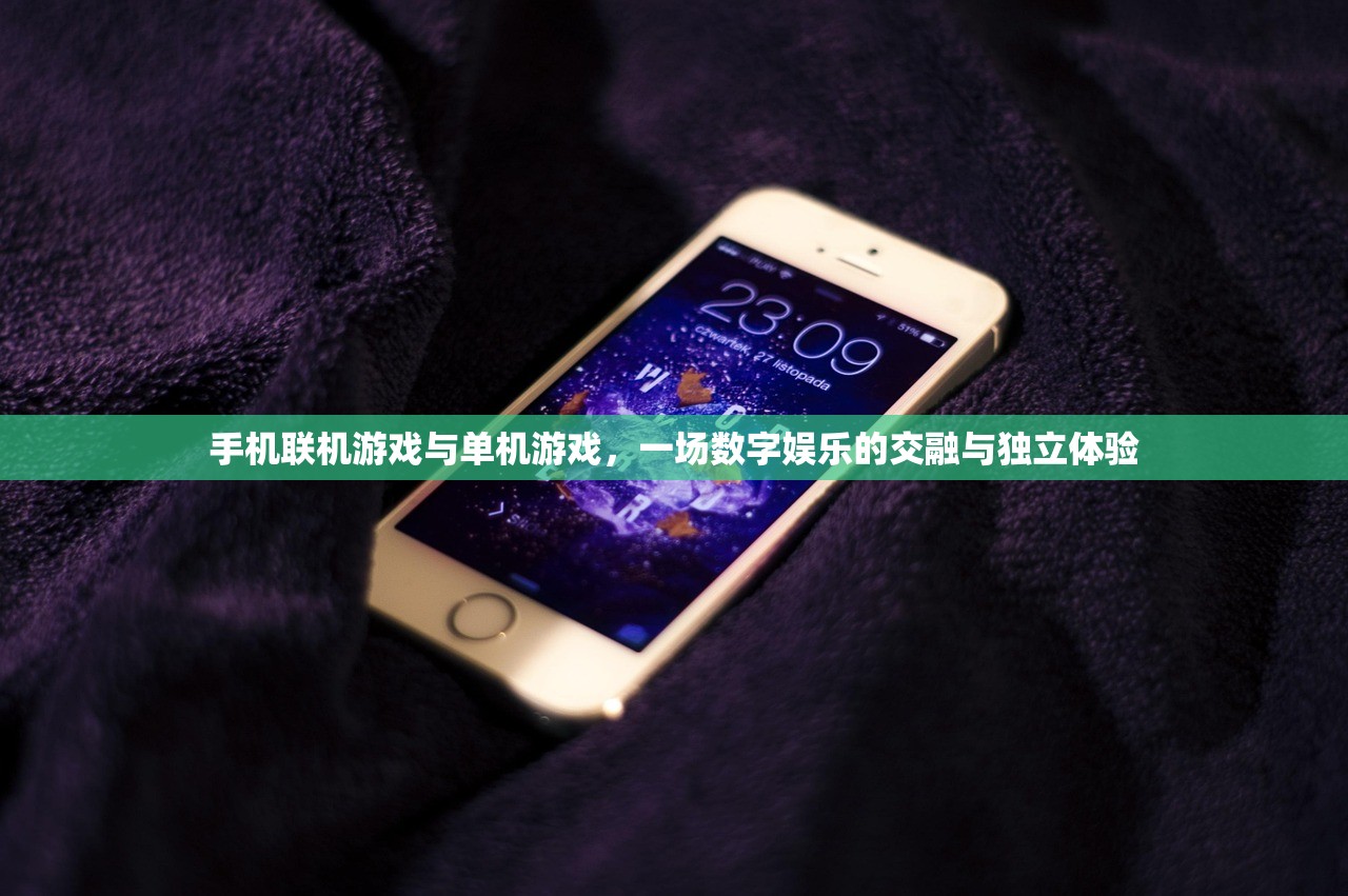 手机联机游戏与单机游戏，一场数字娱乐的交融与独立体验