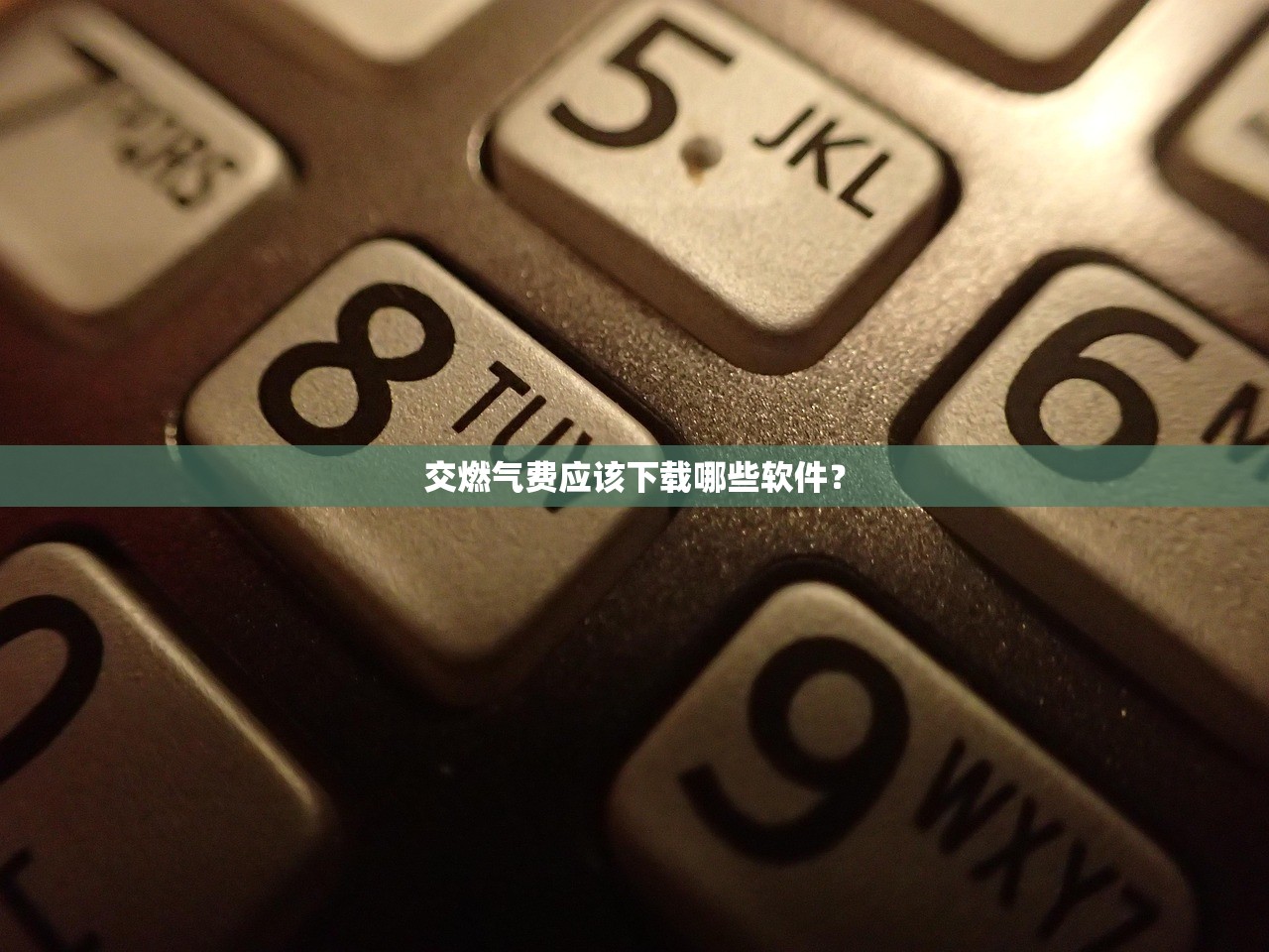交燃气费应该下载哪些软件？