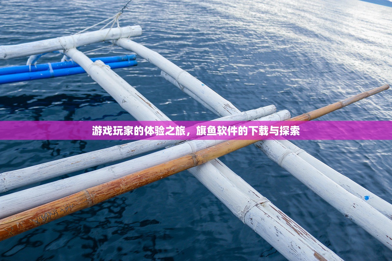 游戏玩家的体验之旅，旗鱼软件的下载与探索