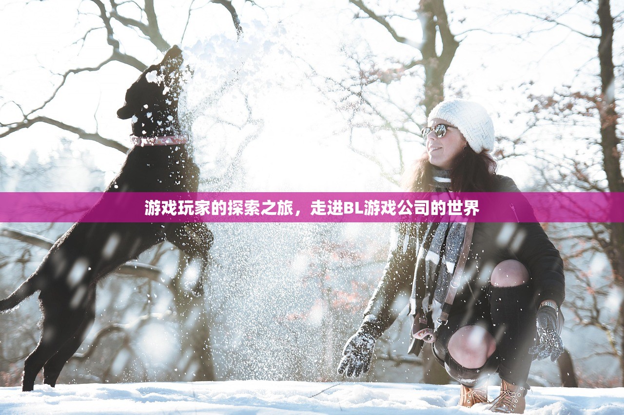 游戏玩家的探索之旅，走进BL游戏公司的世界