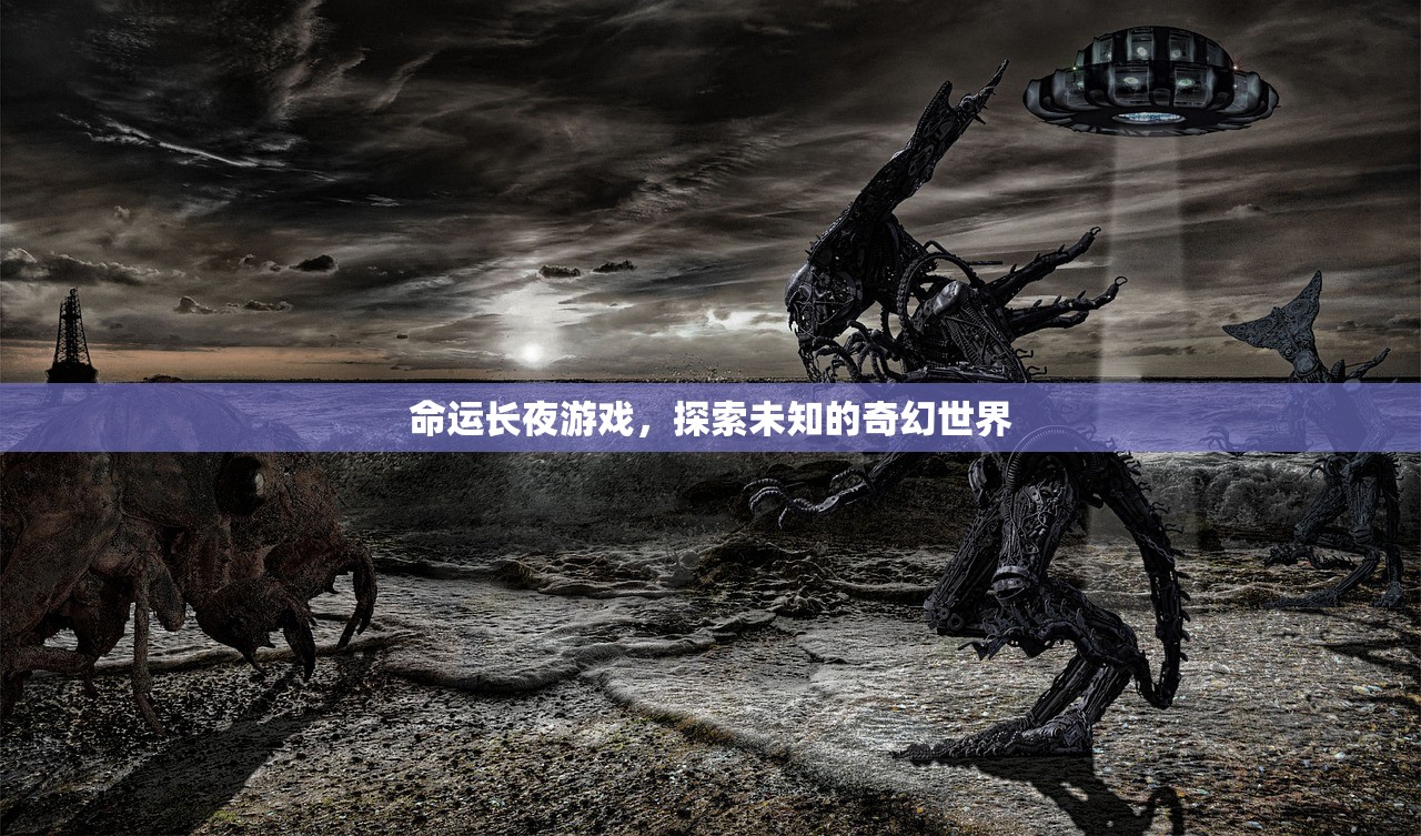 命运长夜游戏，探索未知的奇幻世界