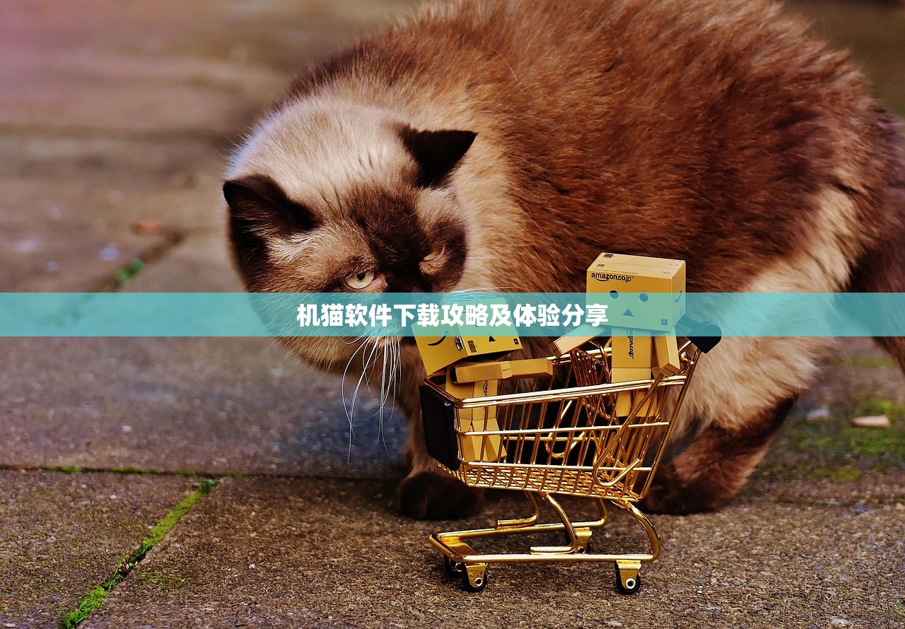 机猫软件下载攻略及体验分享