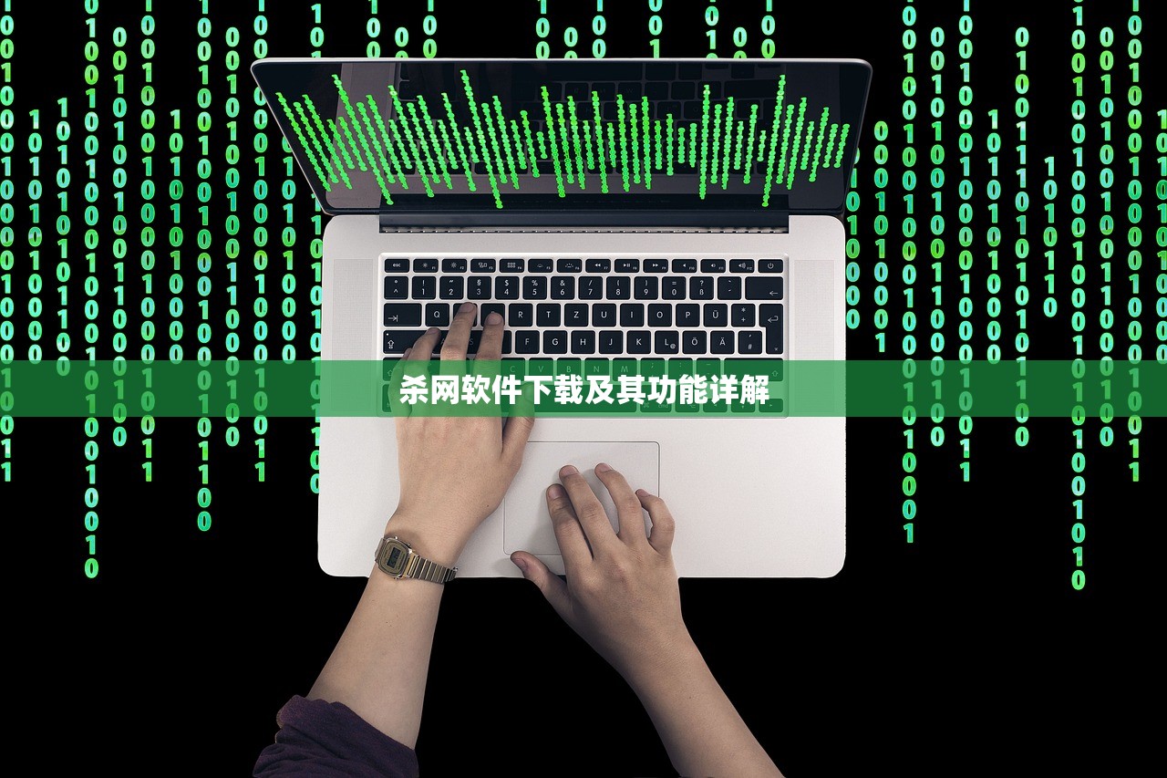 杀网软件下载及其功能详解