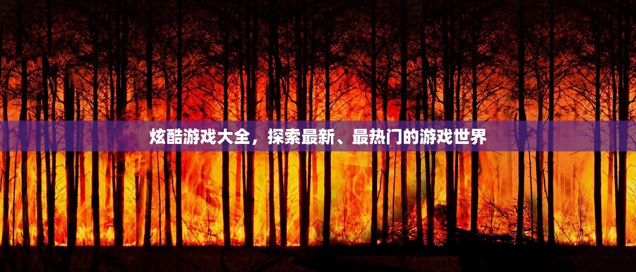 炫酷游戏大全，探索最新、最热门的游戏世界