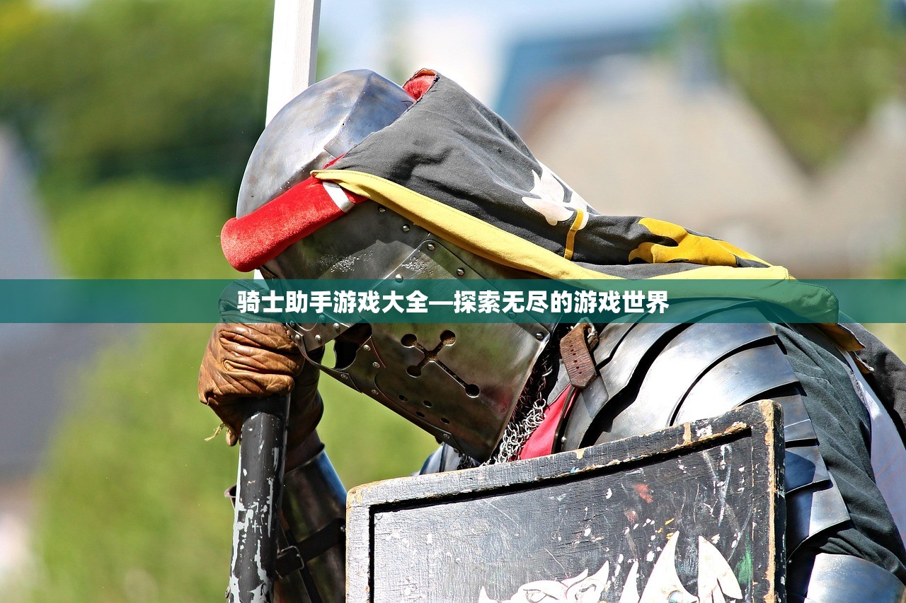 骑士助手游戏大全—探索无尽的游戏世界