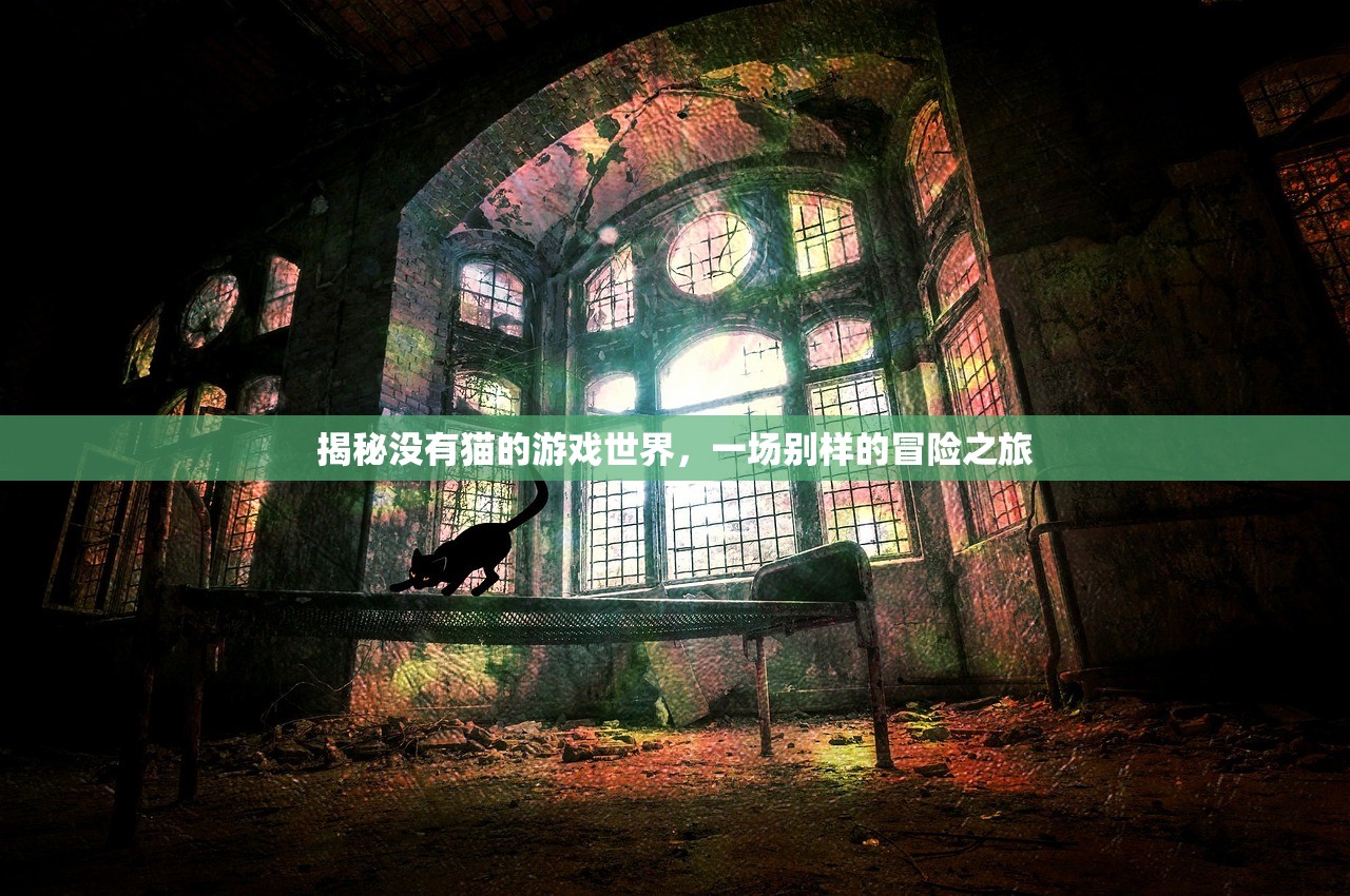 揭秘没有猫的游戏世界，一场别样的冒险之旅