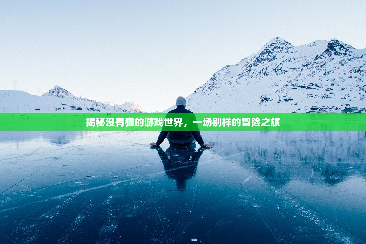 揭秘没有猫的游戏世界，一场别样的冒险之旅
