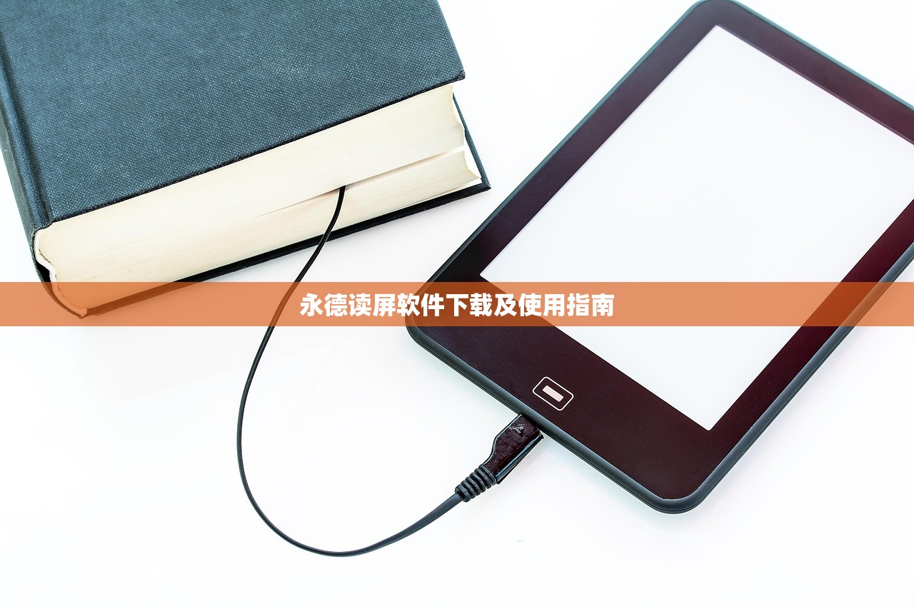永德读屏软件下载及使用指南