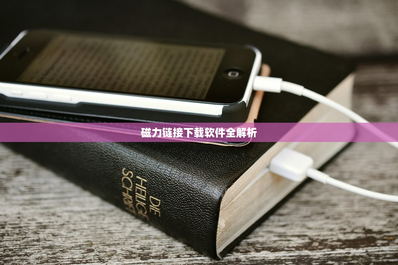磁力链接下载软件全解析