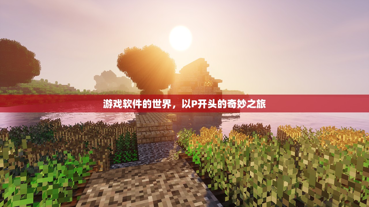 游戏软件的世界，以P开头的奇妙之旅