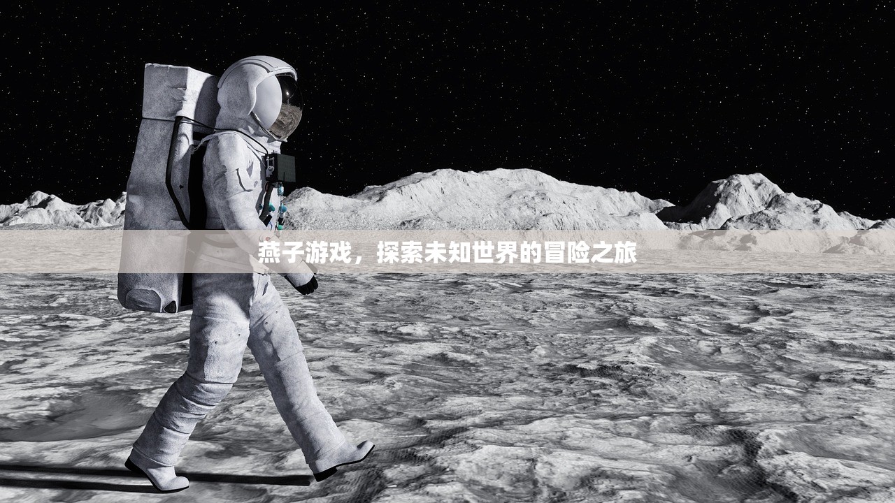 燕子游戏，探索未知世界的冒险之旅