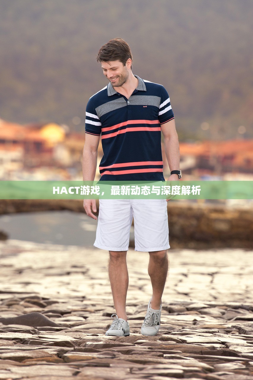 HACT游戏，最新动态与深度解析