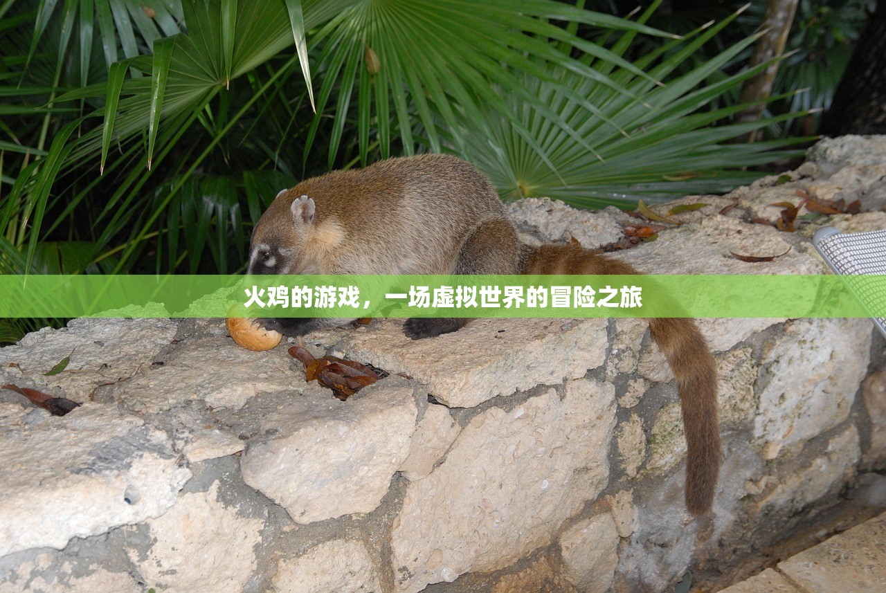 火鸡的游戏，一场虚拟世界的冒险之旅