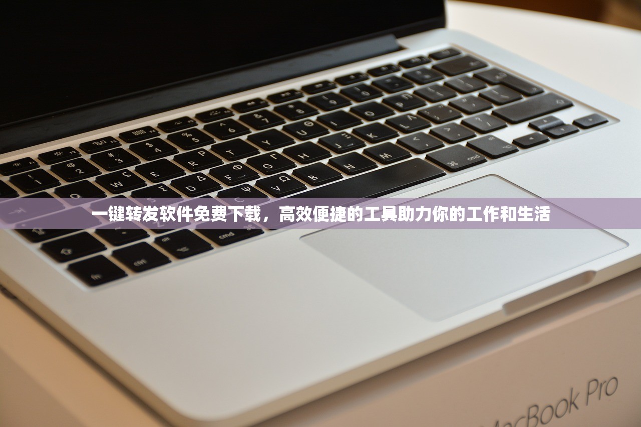 一键转发软件免费下载，高效便捷的工具助力你的工作和生活