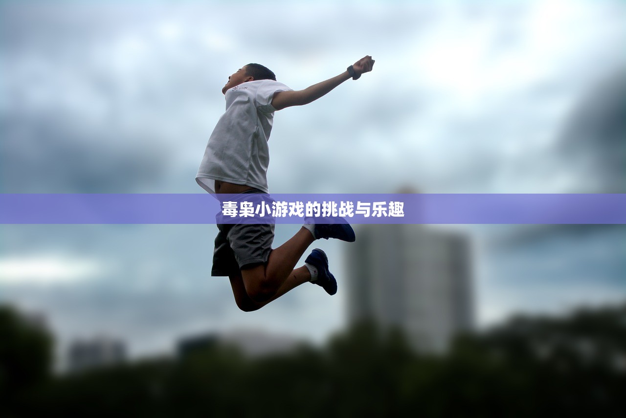 毒枭小游戏的挑战与乐趣