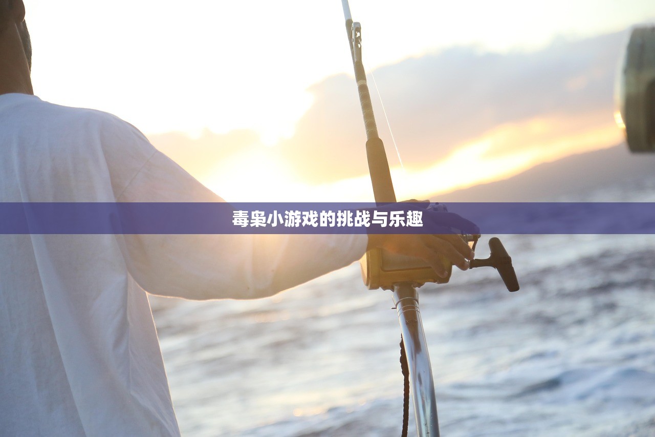 毒枭小游戏的挑战与乐趣