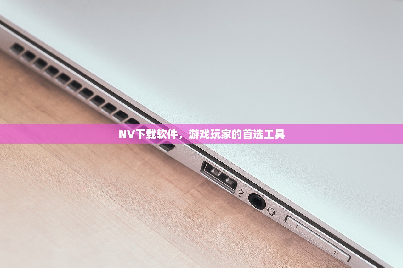 NV下载软件，游戏玩家的首选工具