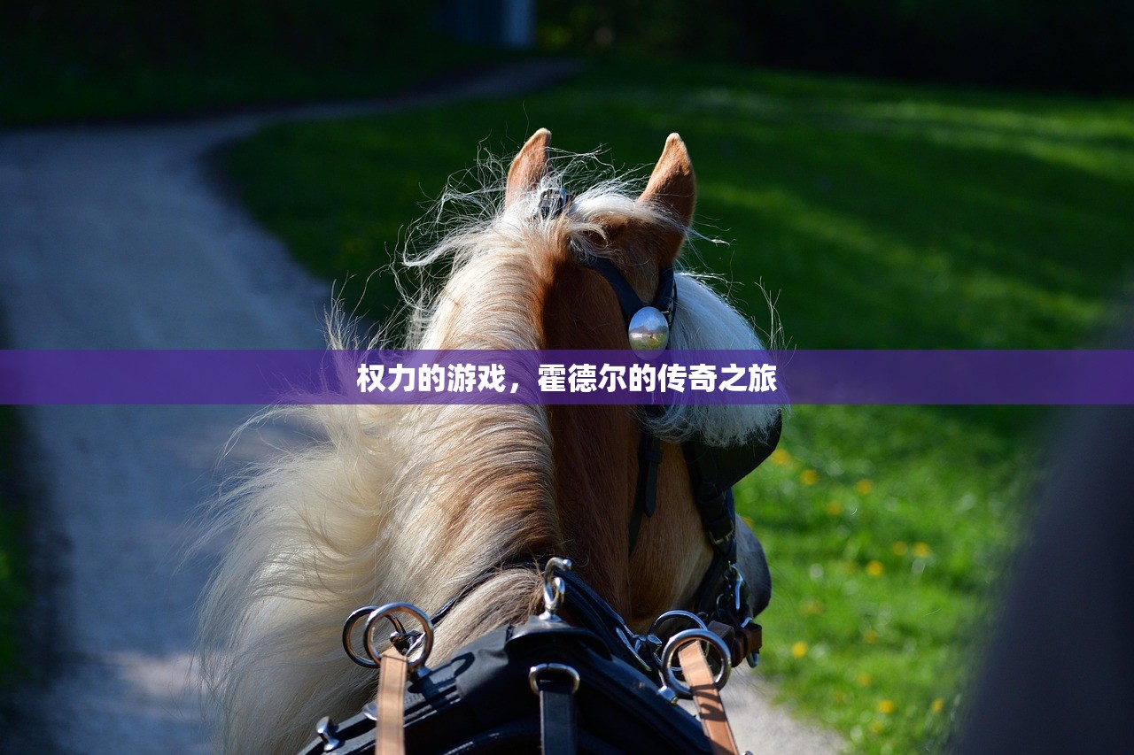 权力的游戏，霍德尔的传奇之旅