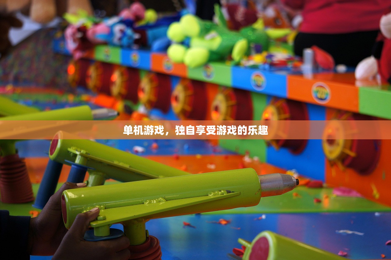 单机游戏，独自享受游戏的乐趣