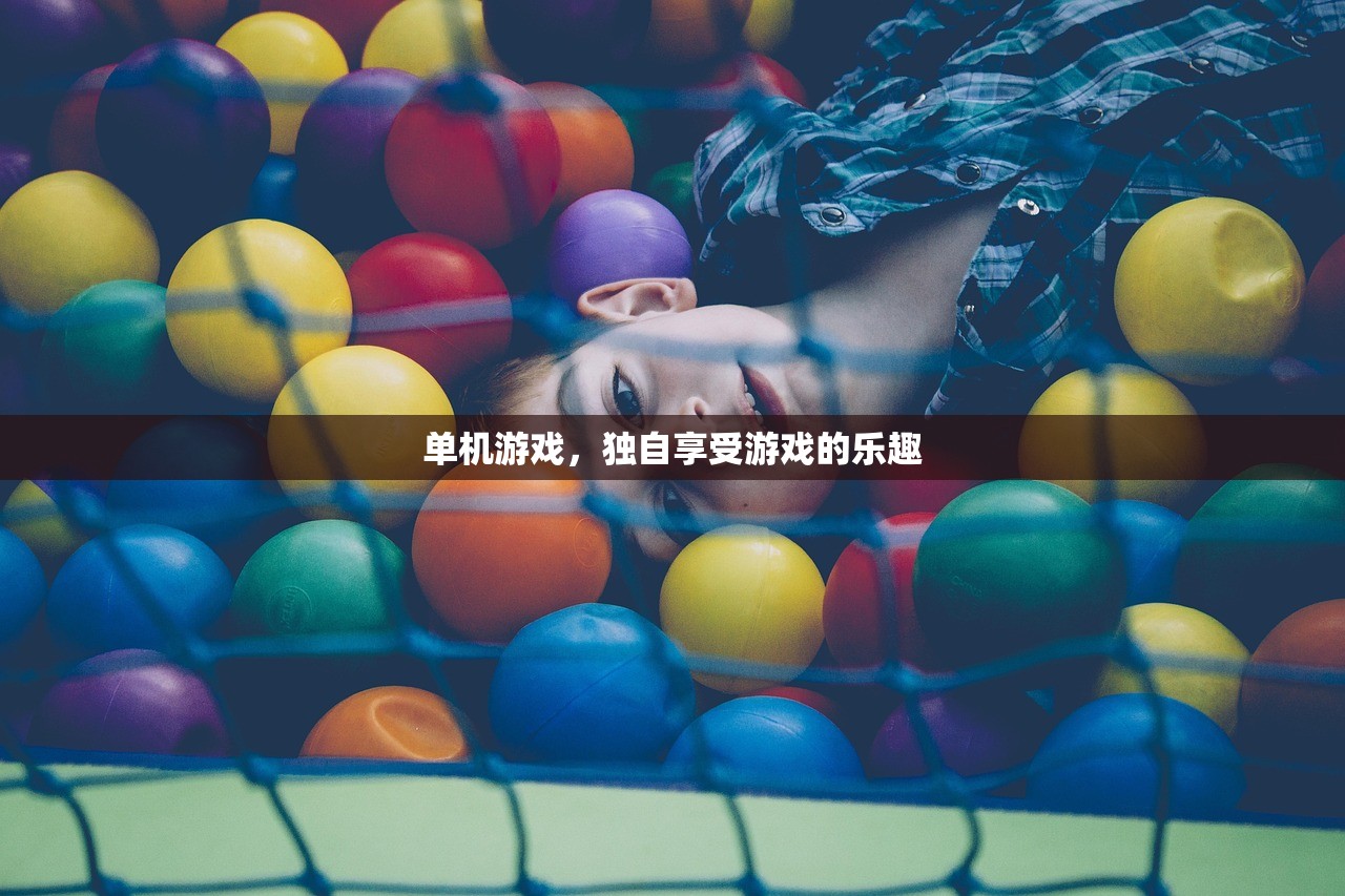 单机游戏，独自享受游戏的乐趣