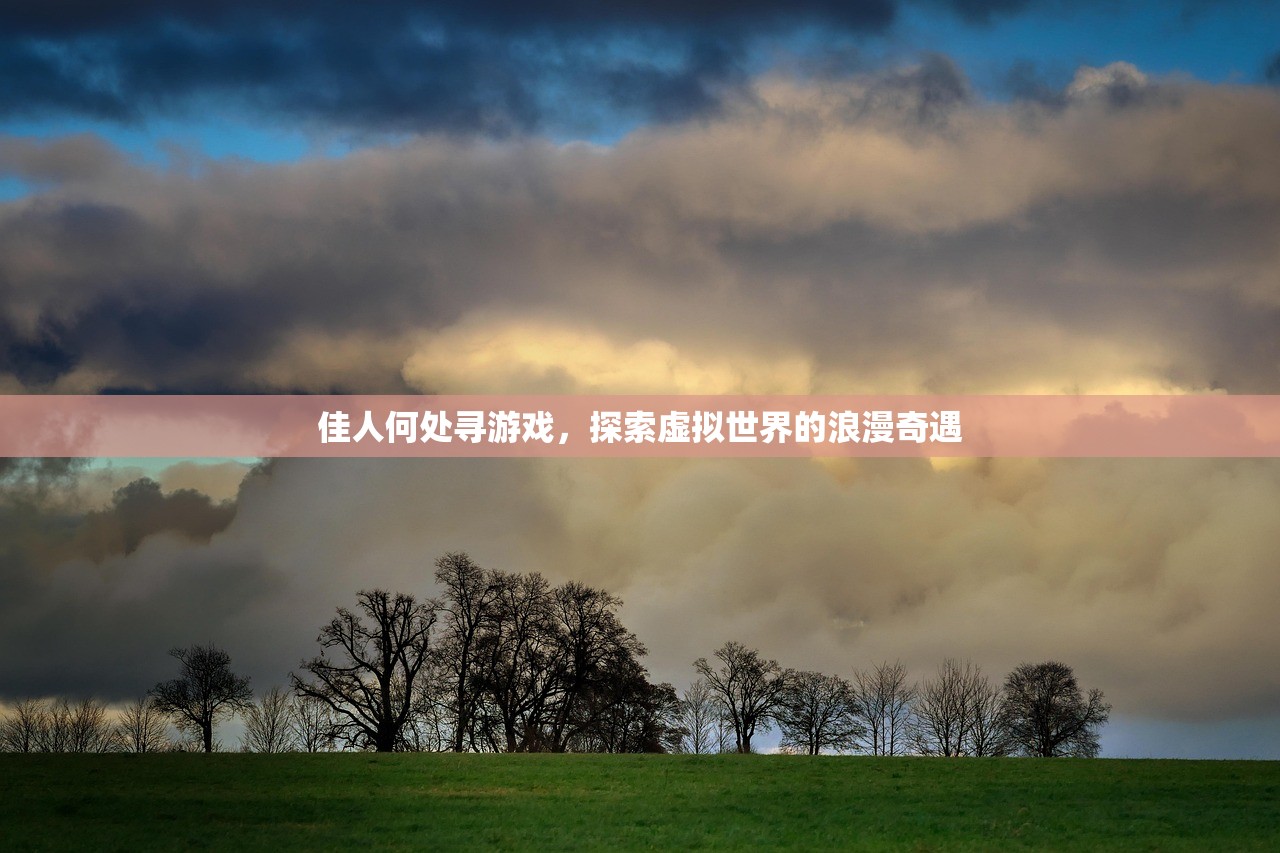 佳人何处寻游戏，探索虚拟世界的浪漫奇遇