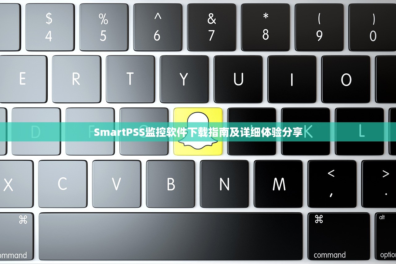 SmartPSS监控软件下载指南及详细体验分享