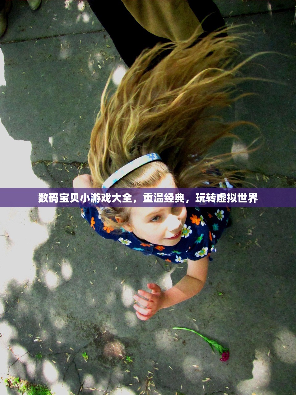 数码宝贝小游戏大全，重温经典，玩转虚拟世界