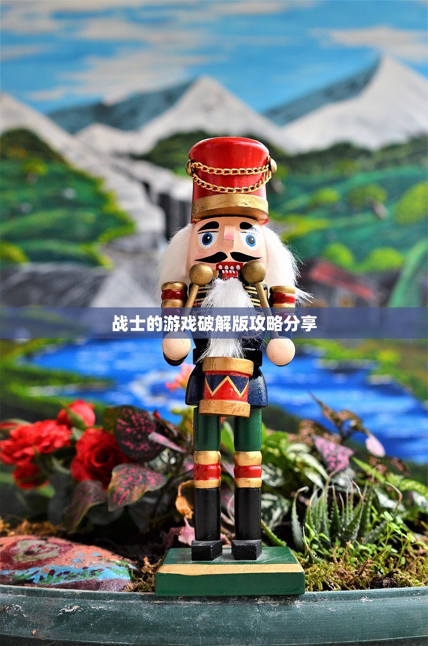 战士的游戏破解版攻略分享