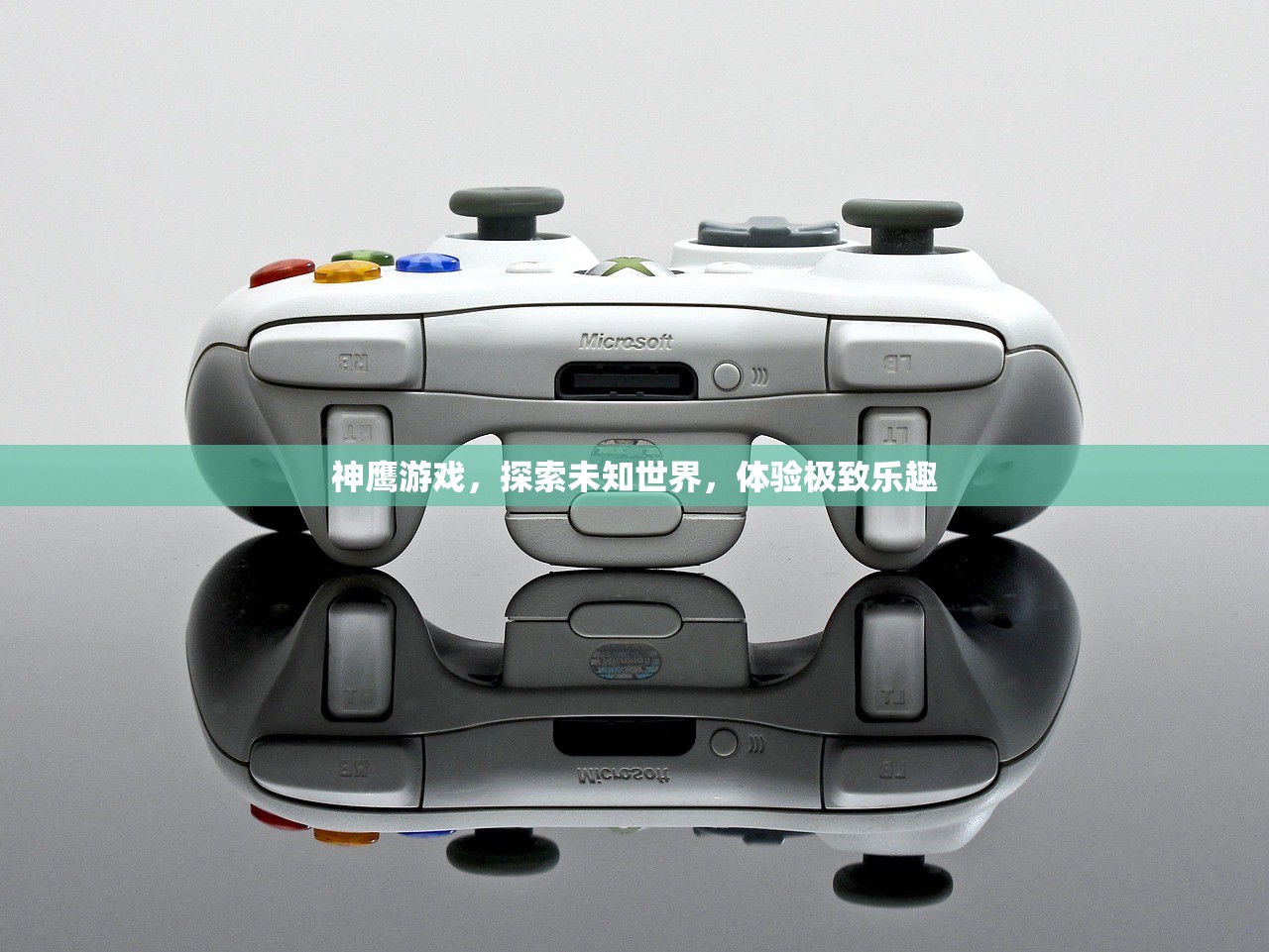 神鹰游戏，探索未知世界，体验极致乐趣