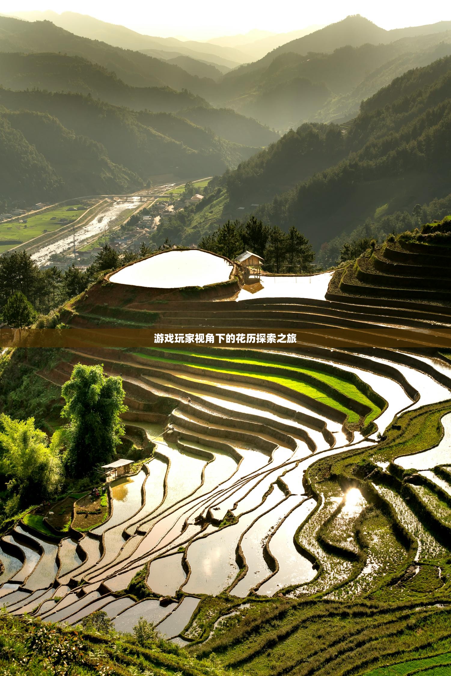 游戏玩家视角下的花历探索之旅