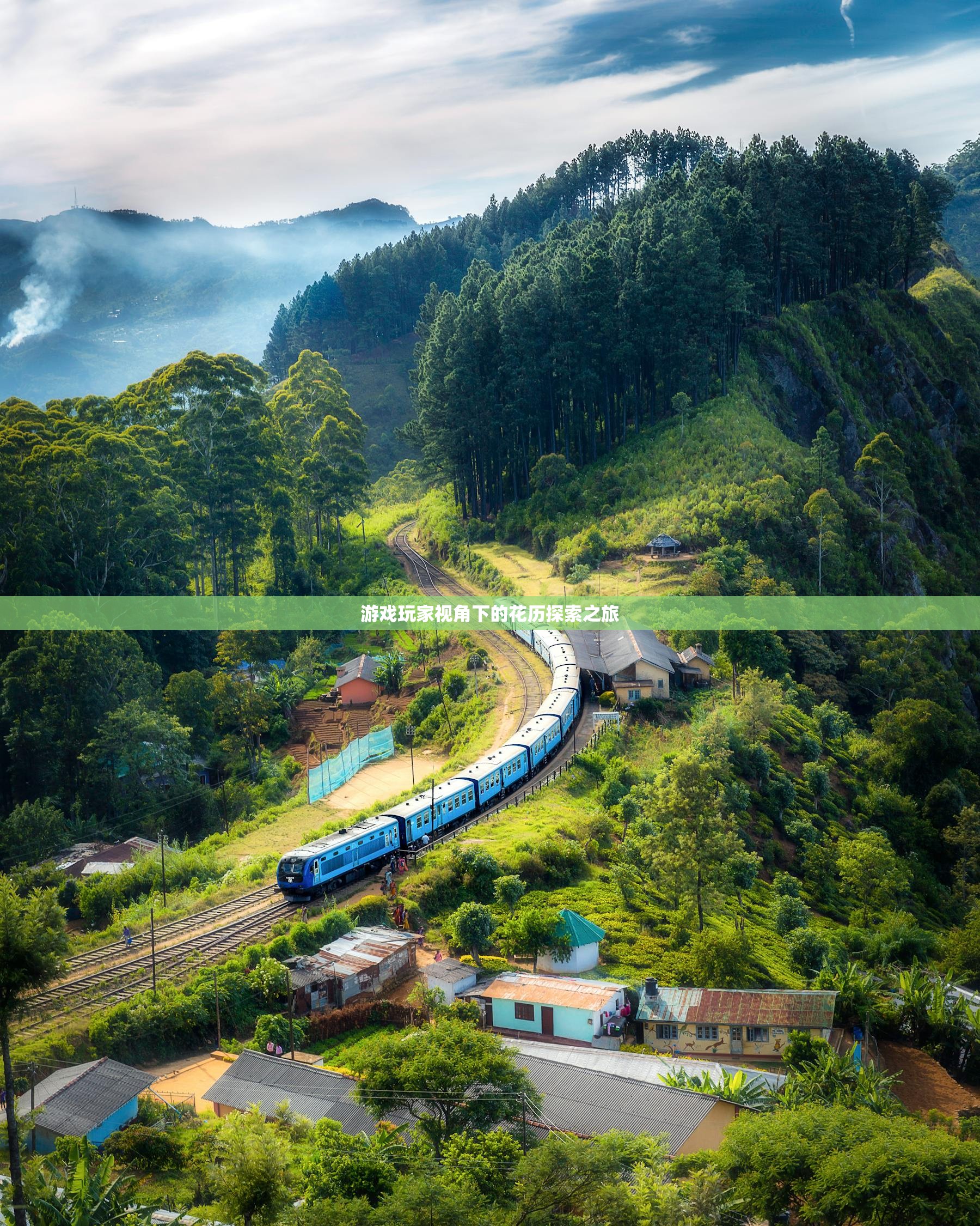 游戏玩家视角下的花历探索之旅
