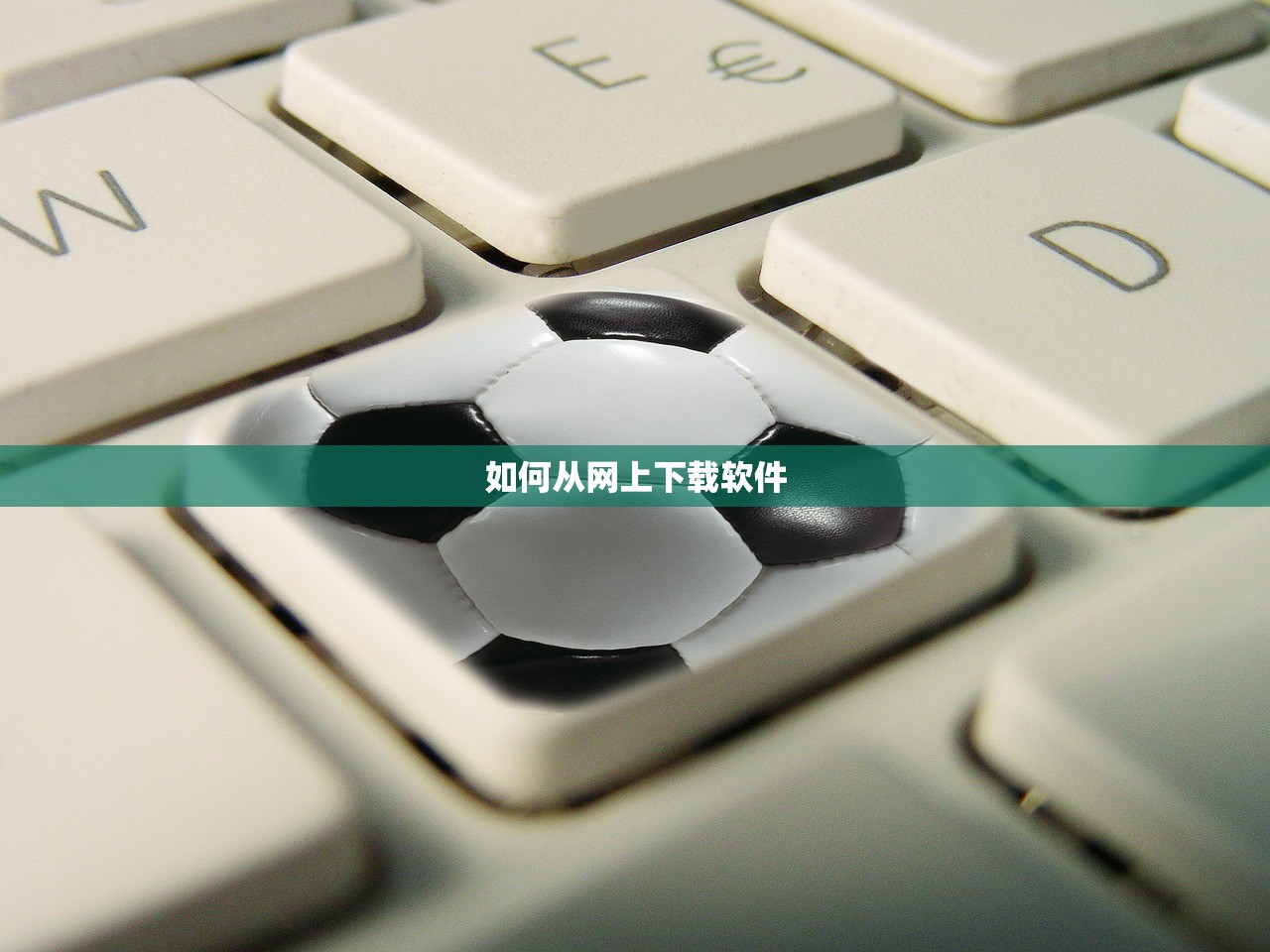 如何从网上下载软件
