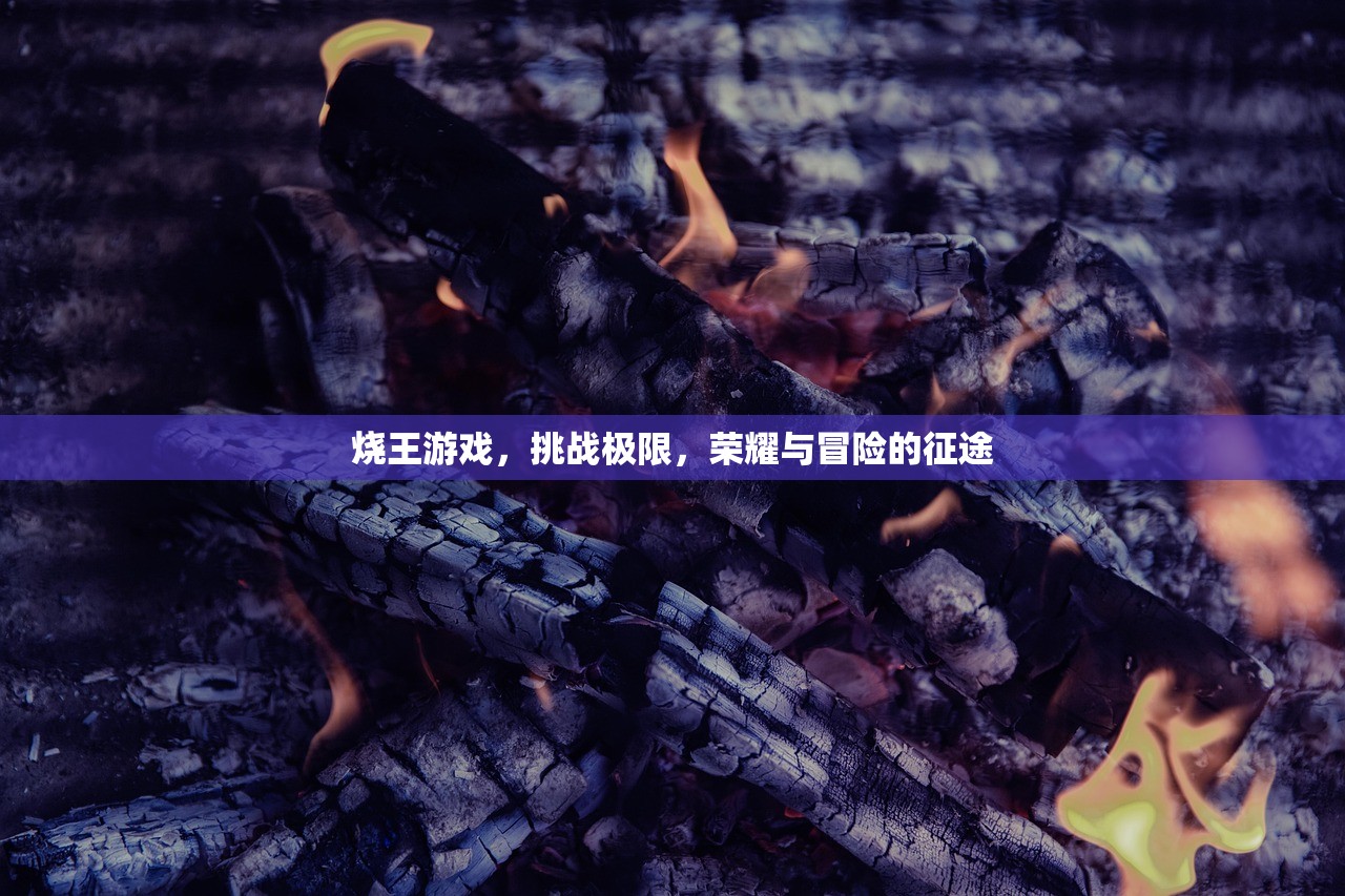 烧王游戏，挑战极限，荣耀与冒险的征途