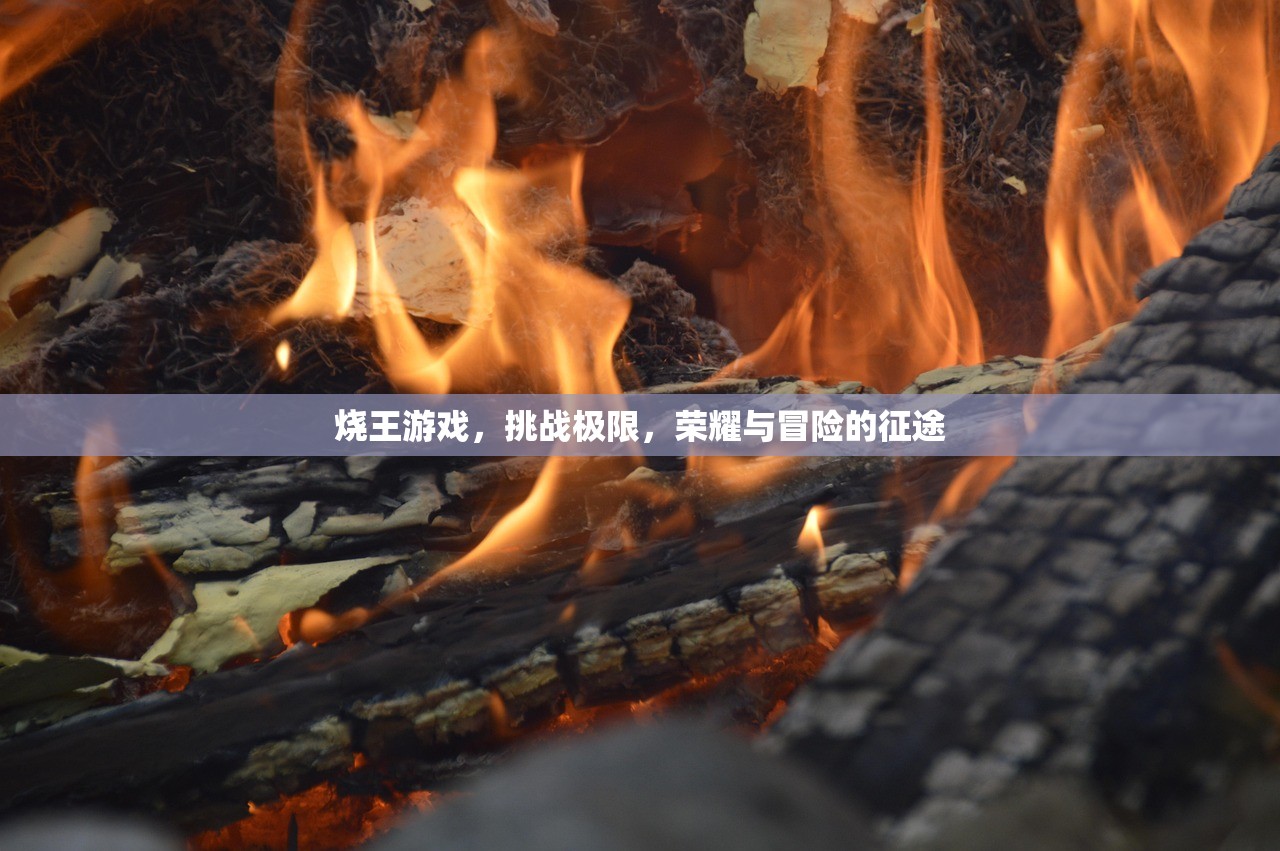 烧王游戏，挑战极限，荣耀与冒险的征途