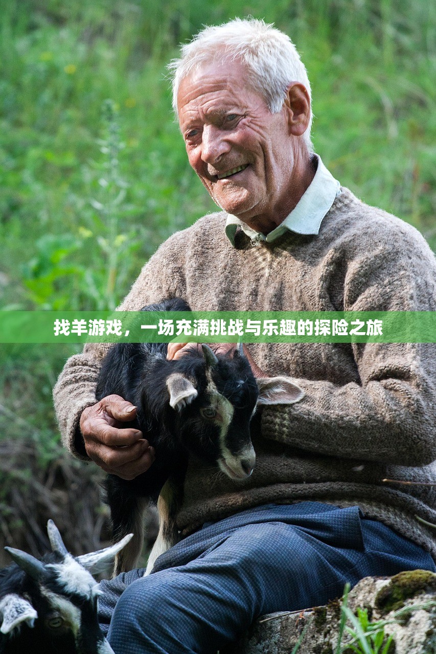 找羊游戏，一场充满挑战与乐趣的探险之旅