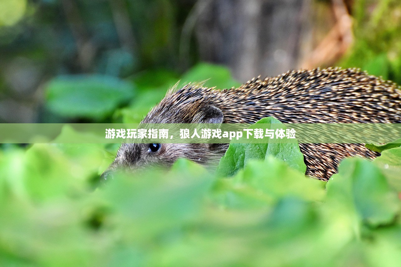 游戏玩家指南，狼人游戏app下载与体验