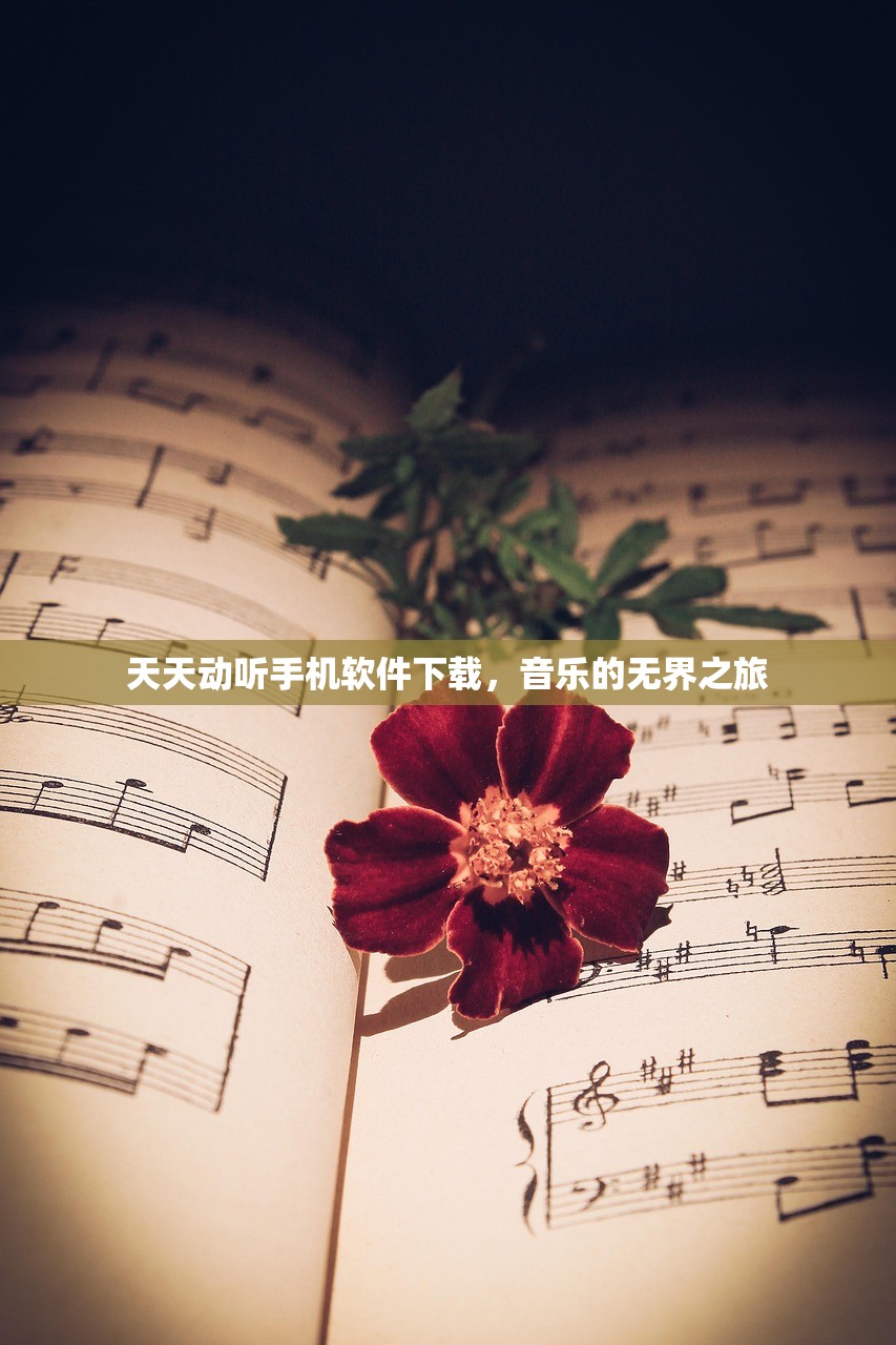 天天动听手机软件下载，音乐的无界之旅