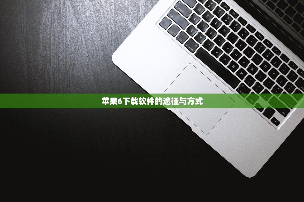 苹果6下载软件的途径与方式