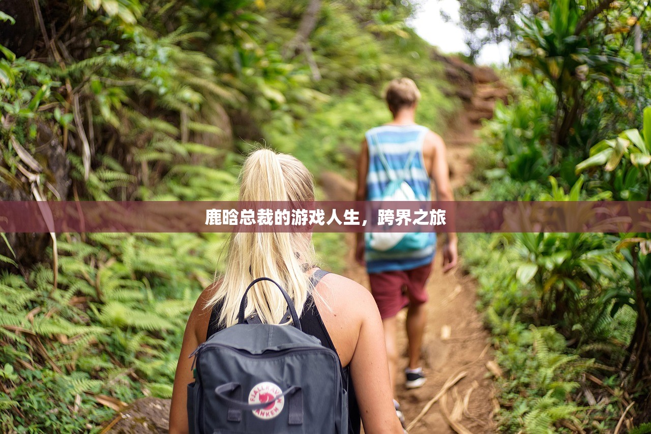 鹿晗总裁的游戏人生，跨界之旅