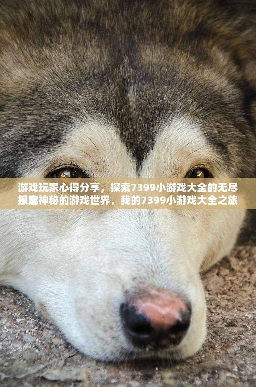 游戏玩家心得分享，探索7399小游戏大全的无尽乐趣
探索神秘的游戏世界，我的7399小游戏大全之旅