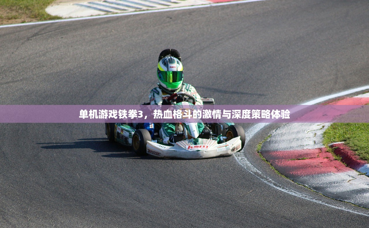 单机游戏铁拳3，热血格斗的激情与深度策略体验