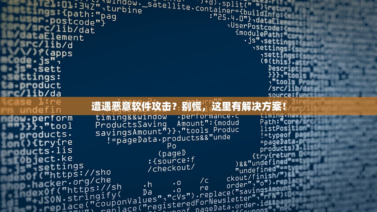 遭遇恶意软件攻击？别慌，这里有解决方案！